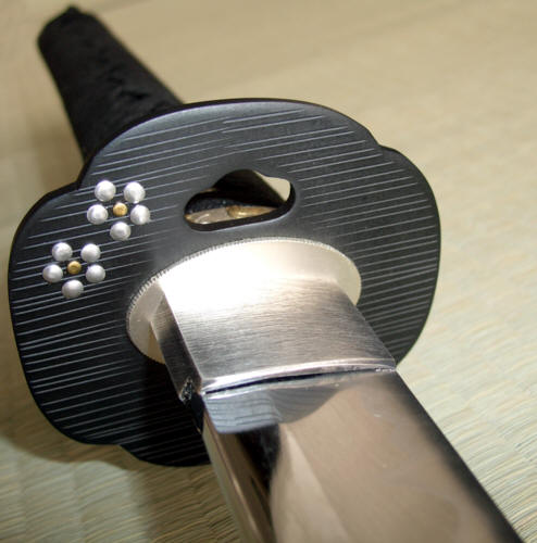 Катана Суруга, иайто