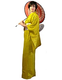 Japanese traditional silk antique kimono of Taisho era, 1920's