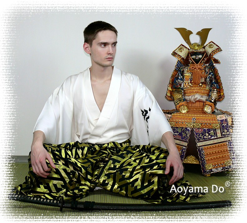 японские мечи в коллекции Аояма До